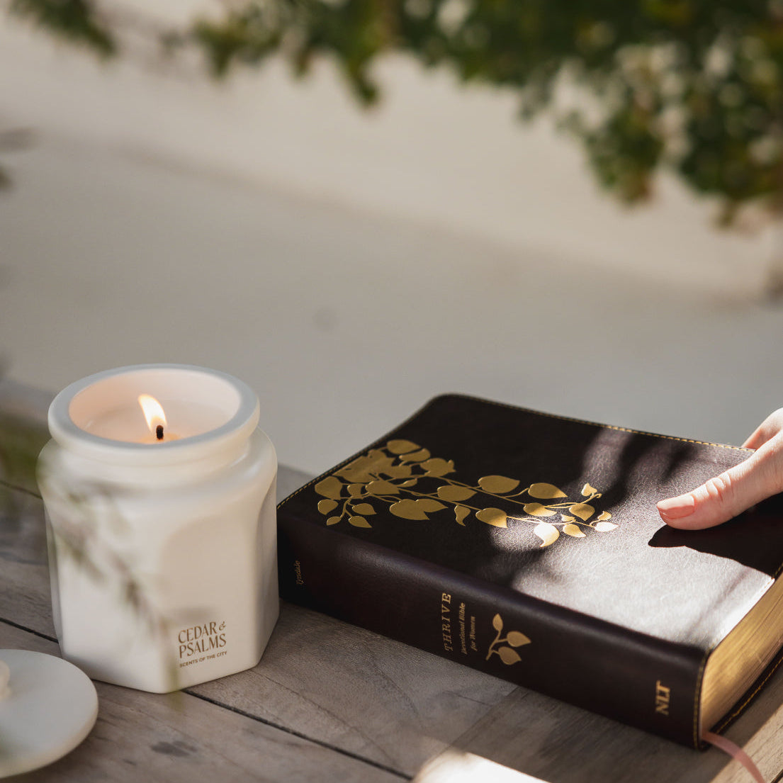 A white jar candle labeled 'Cedar & Psalms' sits on a rustic wooden table next to a dark brown hardcover book with gold leaf illustrations and a person's hand resting on it. The background features soft, out-of-focus green foliage and a light-colored wall.