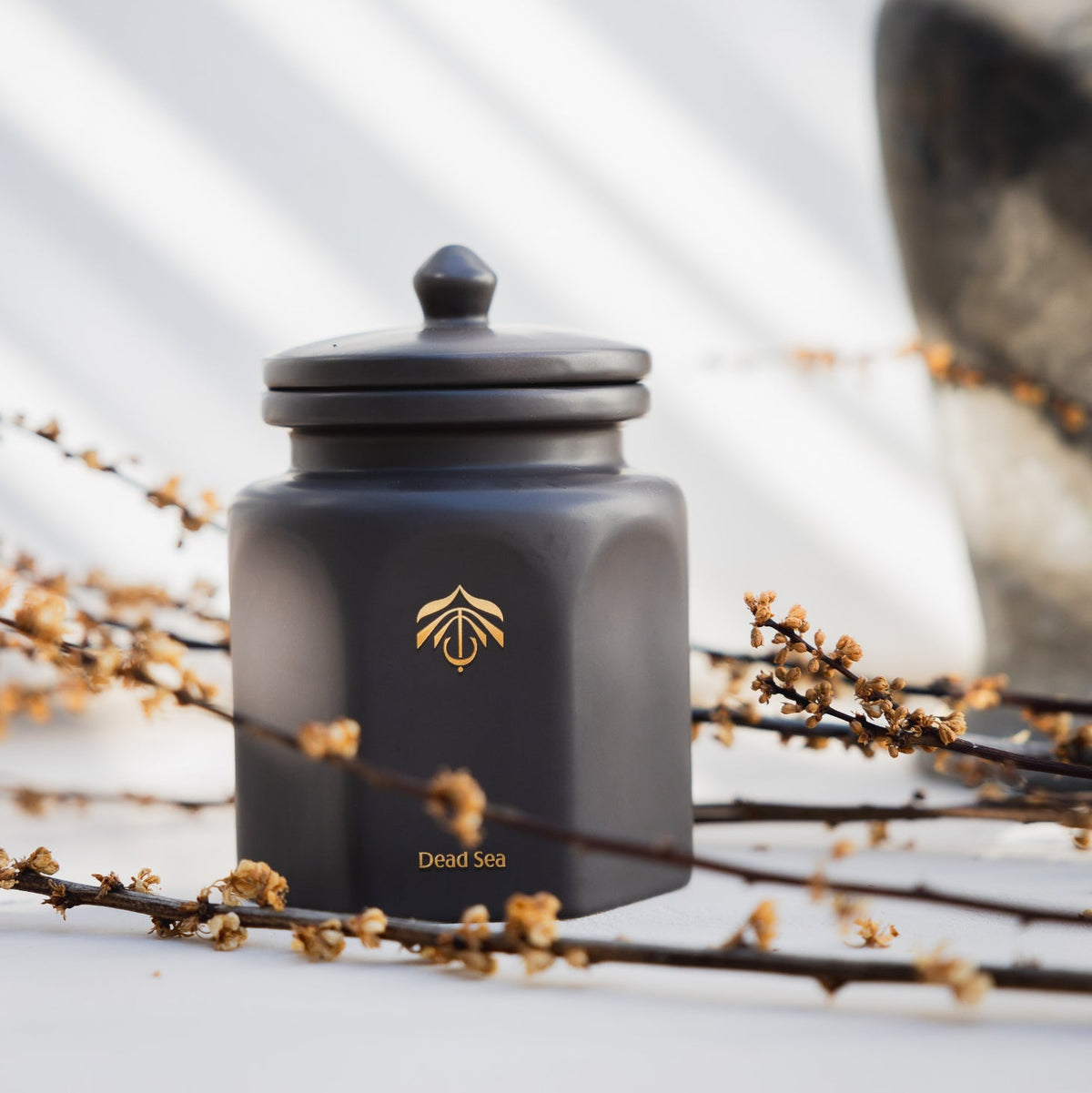 A matte black ceramic candle vessel with a gold logo design and the text 'Dead Sea' on the front, styled on dried branches with a blurred ceramic vase in the background.